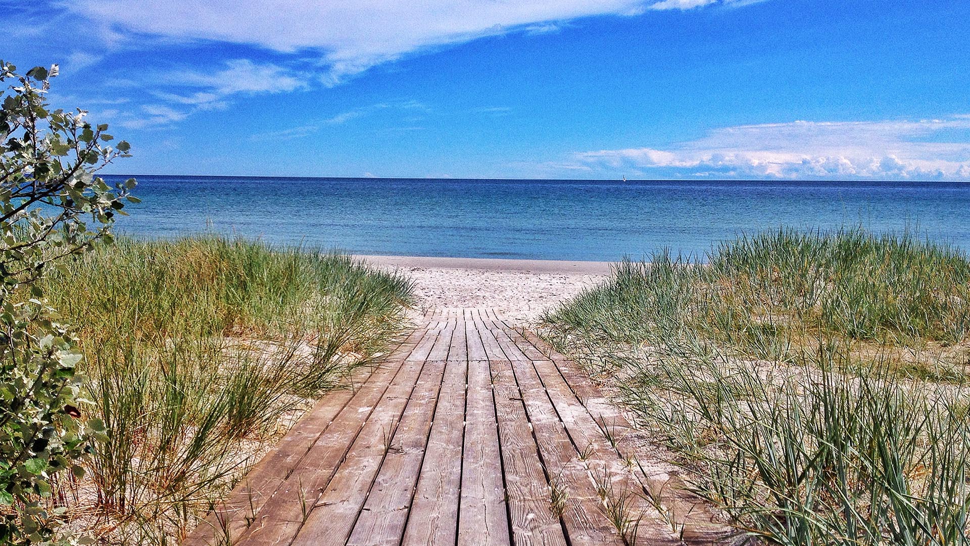 Bild einer Region in Skåne, das eine Karte von Skåne zeig